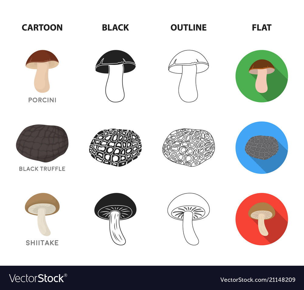 Amanita porcini black truffletoadstool set Vector Image