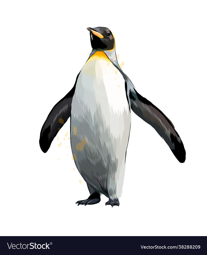 Emperor penguin from a splash watercolor