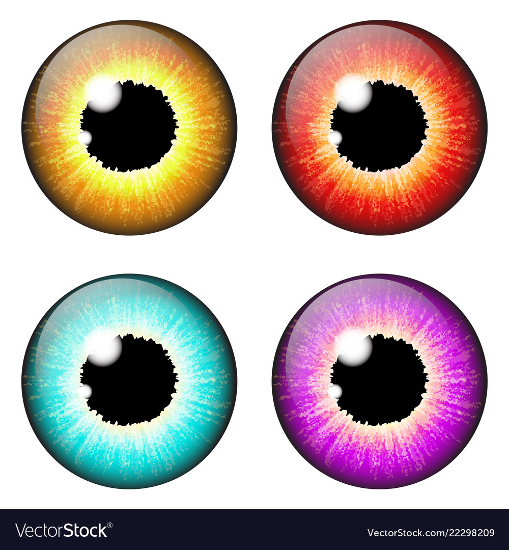 Iris eye realistic set design isolated on white Vector Image