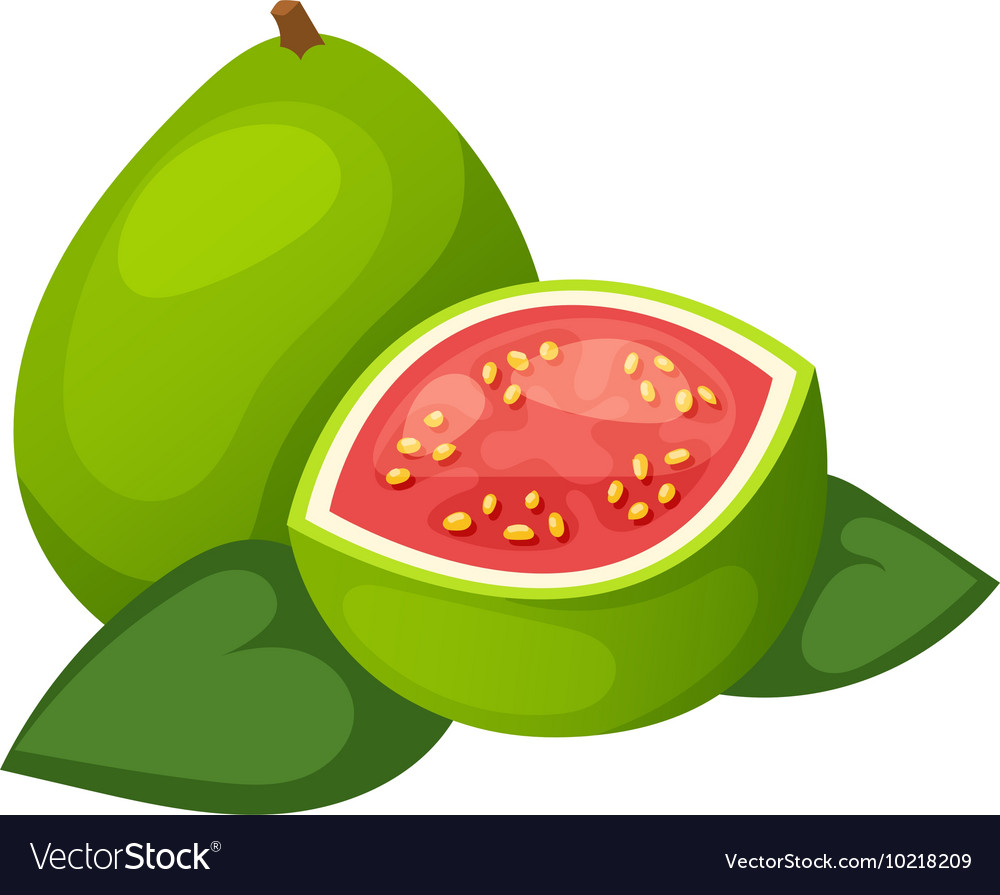 Mango fruit Royalty Free Vector Image - VectorStock