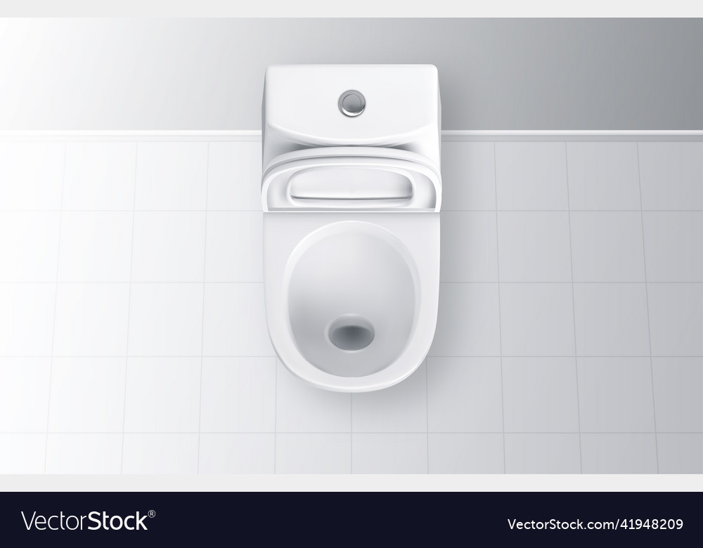 Realistic open white ceramic toilet top view Vector Image