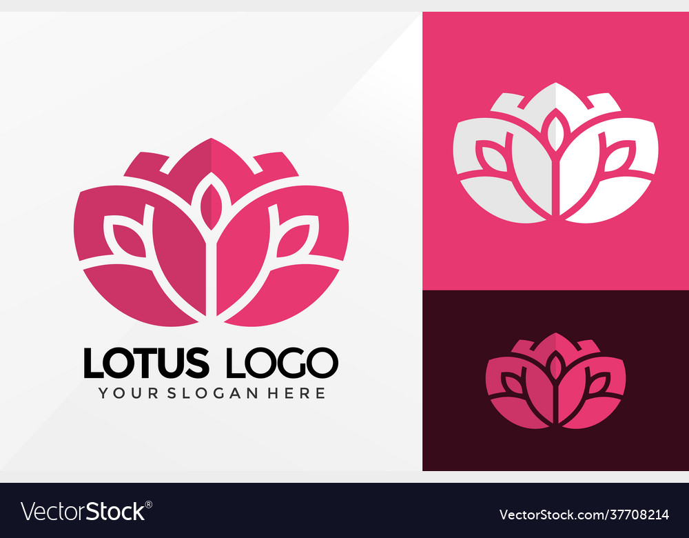 Creative lotus logo design brand identity logos