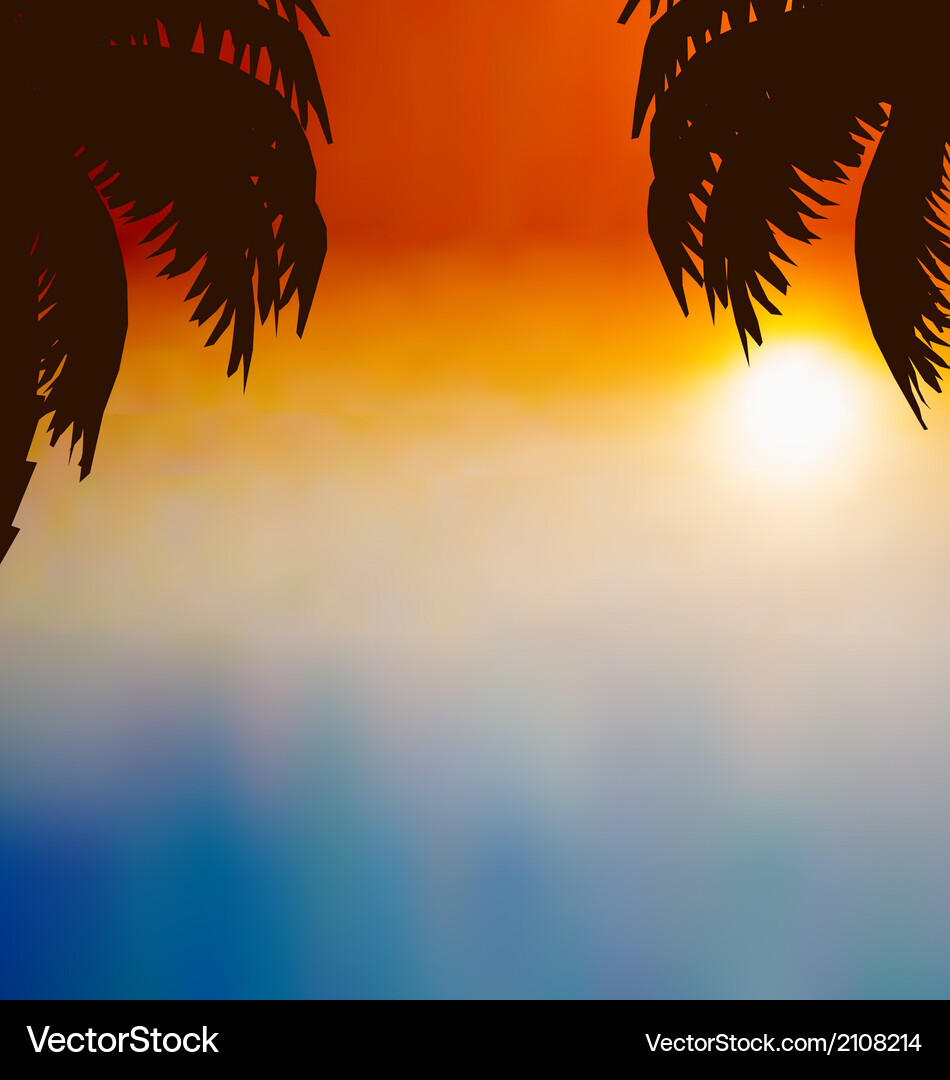 Sunset background with palm trees Royalty Free Vector Image
