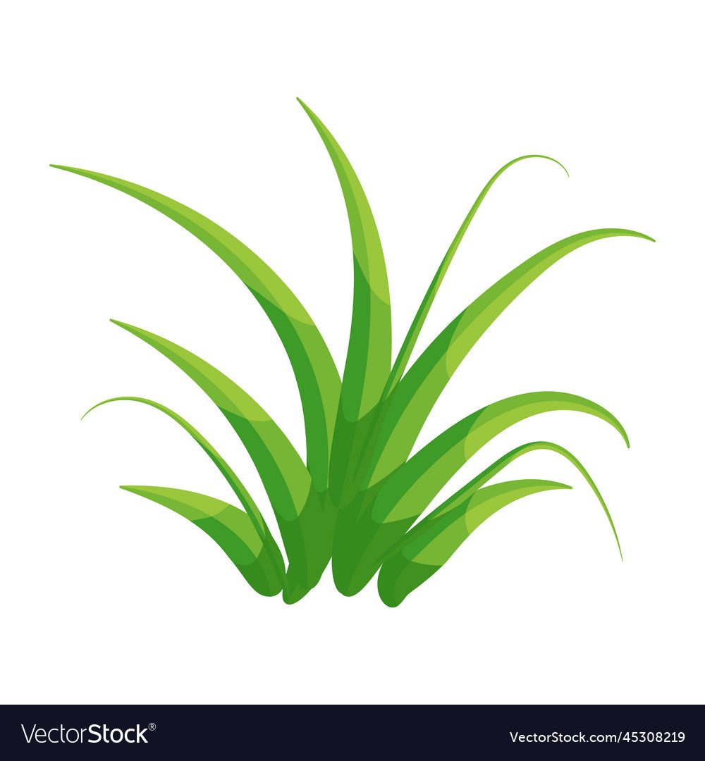 Green grass Royalty Free Vector Image - VectorStock