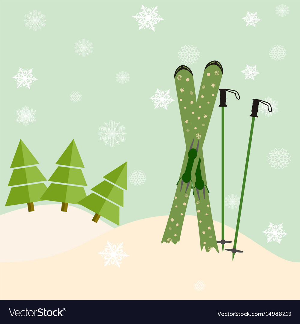 Skis stick out of snow before a spruce invitation