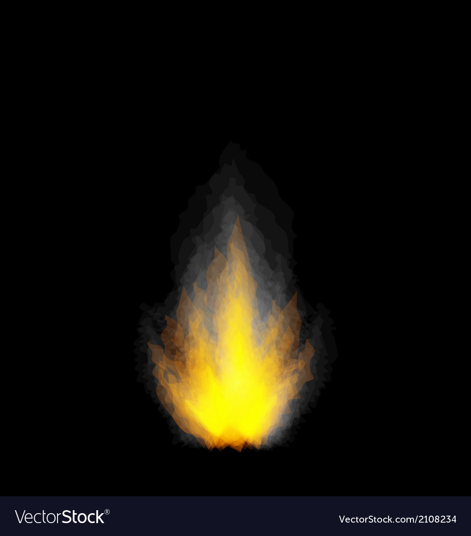 Dynamic Flame on Black Background