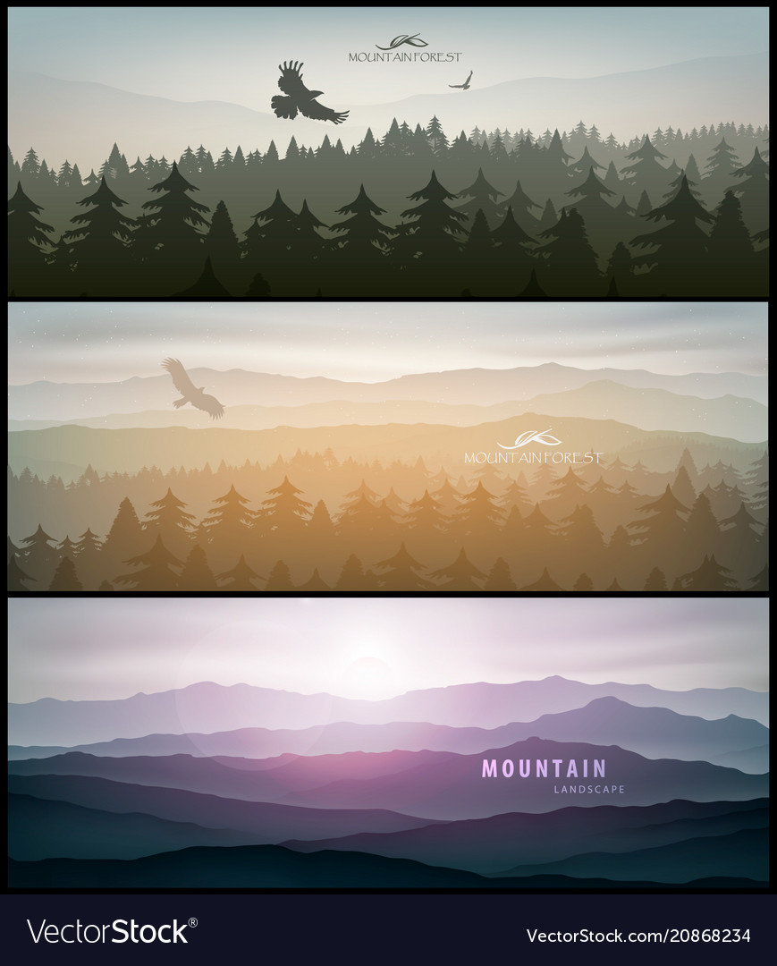 Forest and mountains banner for facebook Vector Image