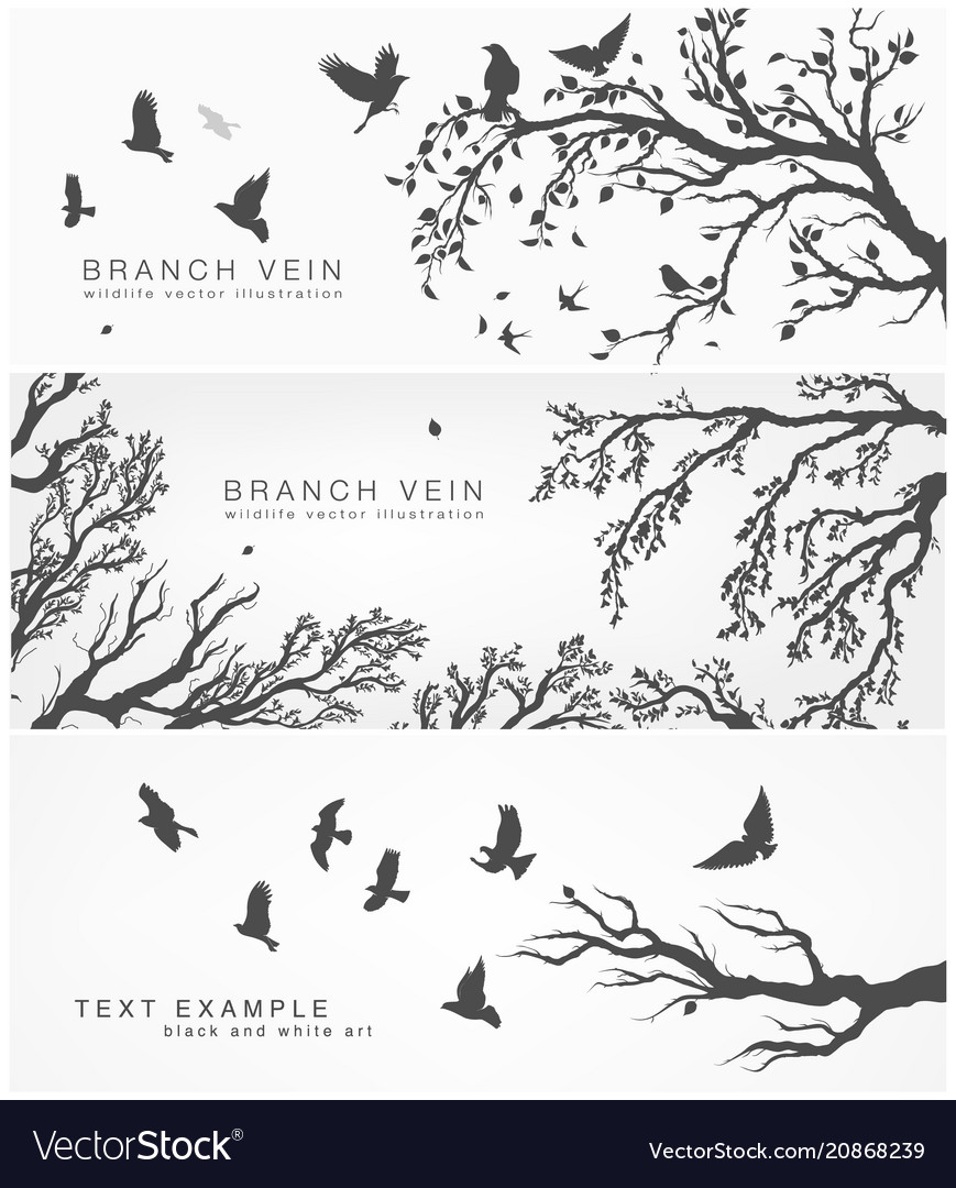 Forest and birds banner for facebook design Vector Image