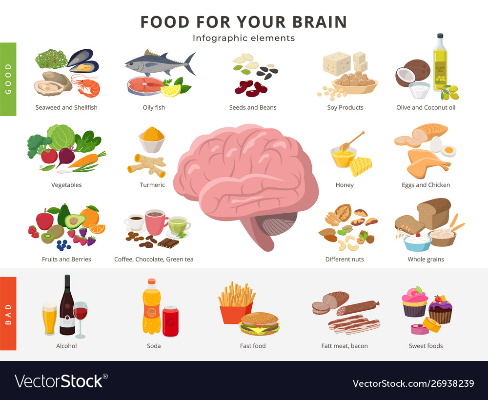 Healthy food and bad food for brains infographic Vector Image