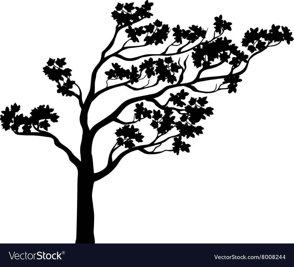 Tree sakura silhouette Royalty Free Vector Image