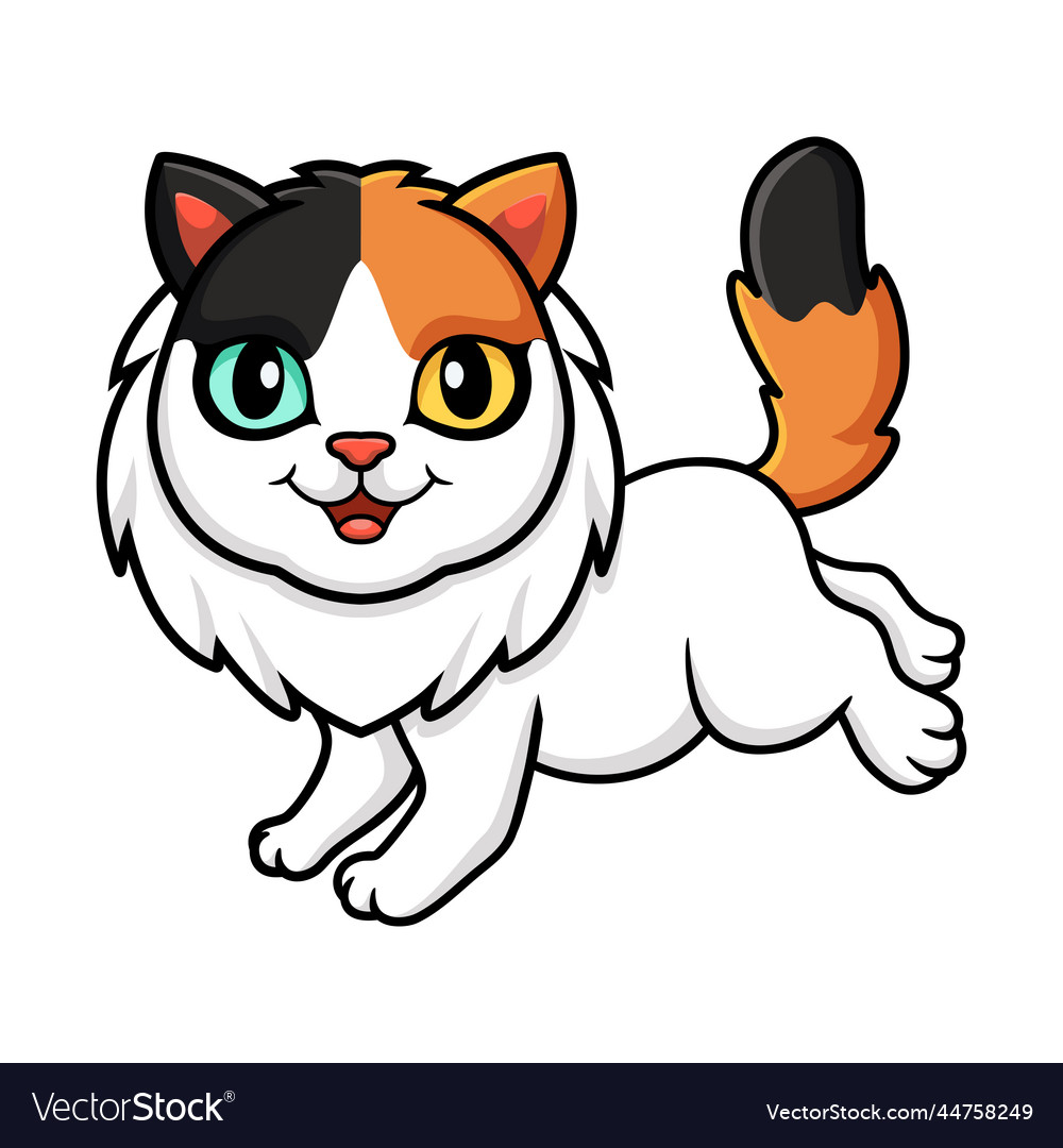 Cute turkish van cat cartoon Royalty Free Vector Image