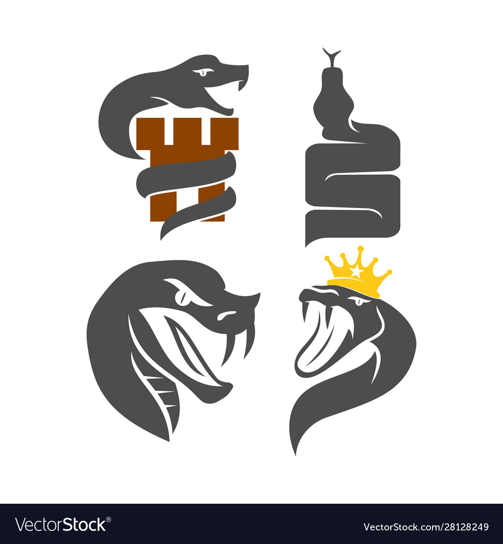 Snake Schloss Krone Logo Vorlage Design Set