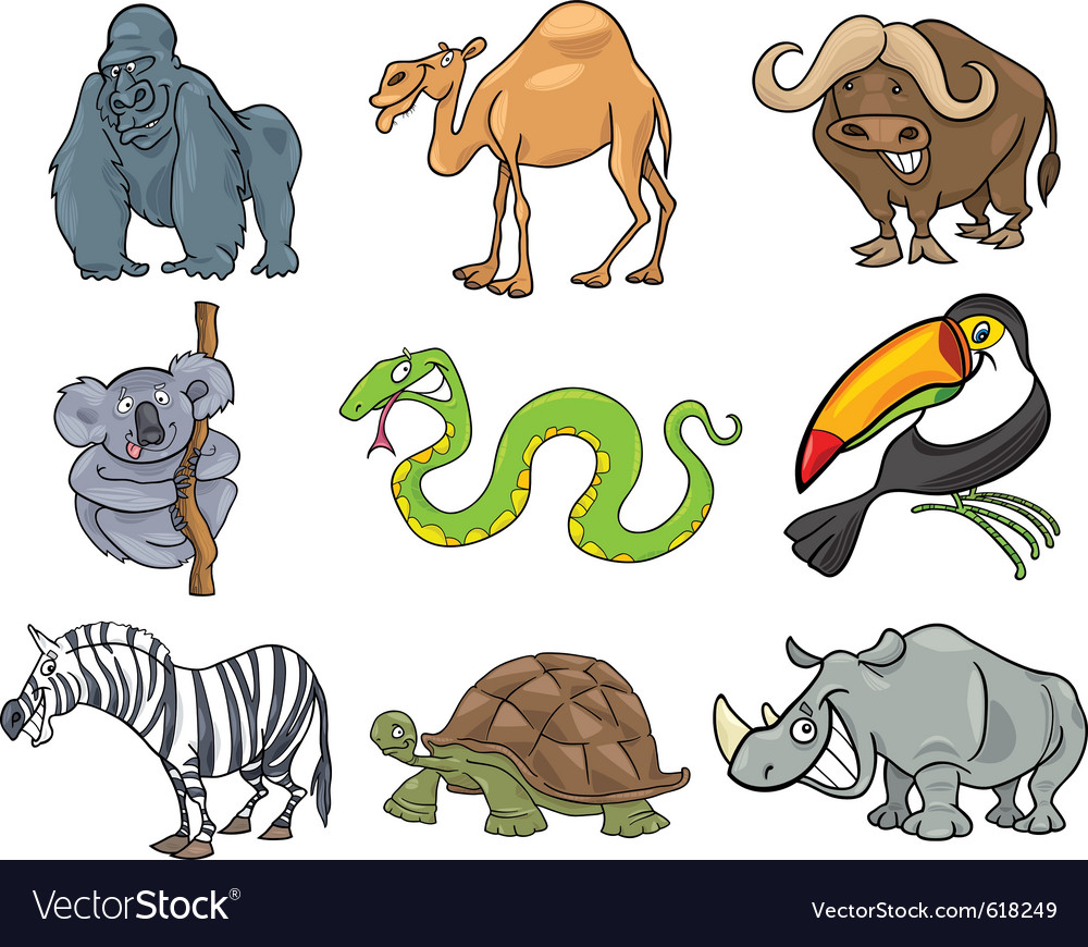 Wild animals Royalty Free Vector Image - VectorStock