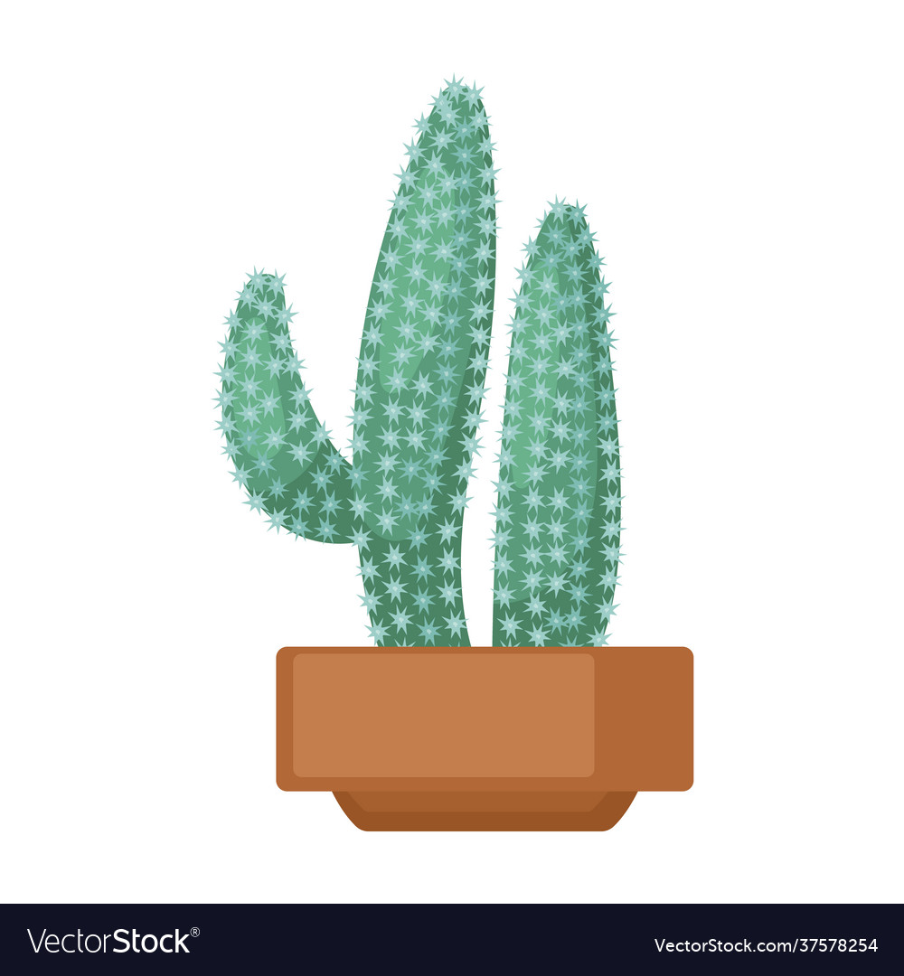 Houseplant cacti cartoon icon