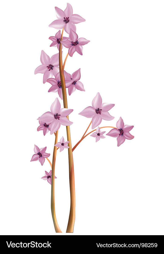 Blossoming tree Royalty Free Vector Image - VectorStock