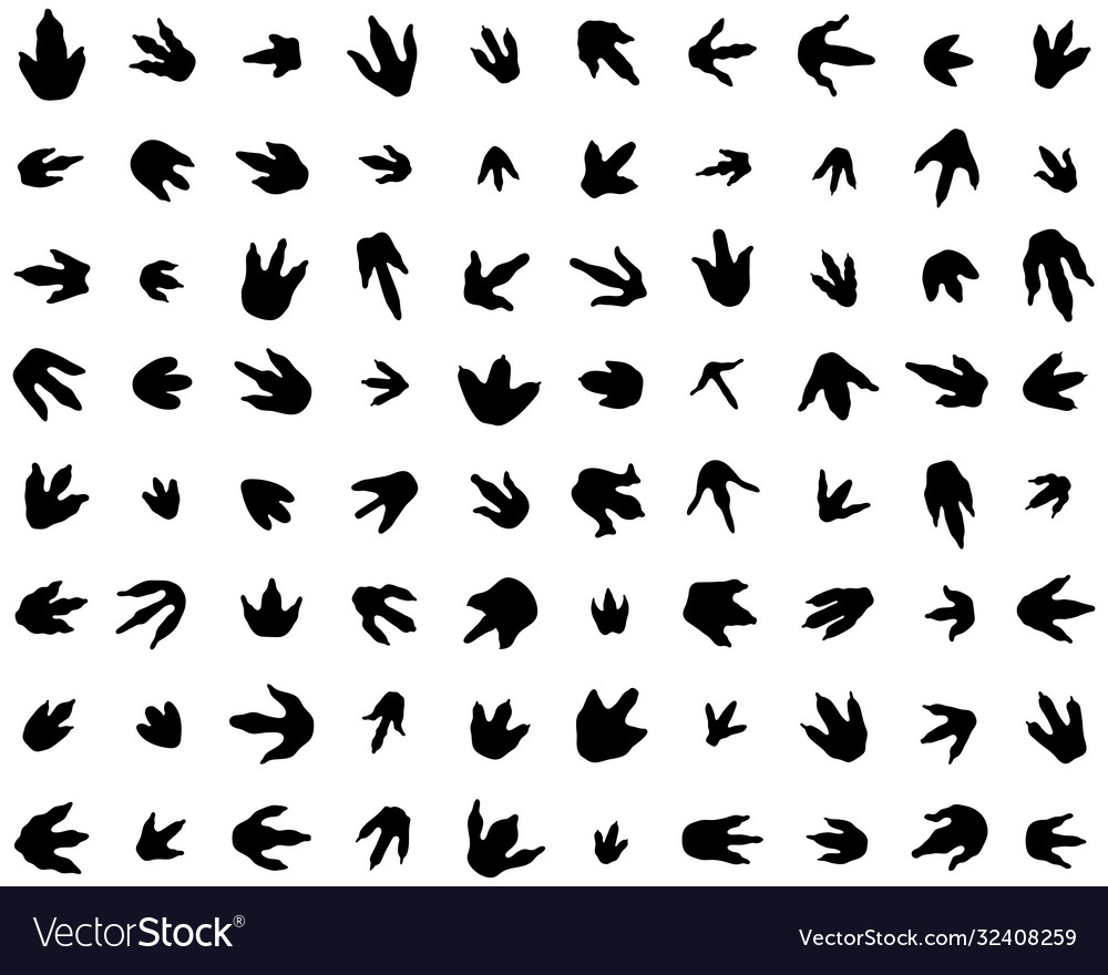Dinosaur Footprint Pattern