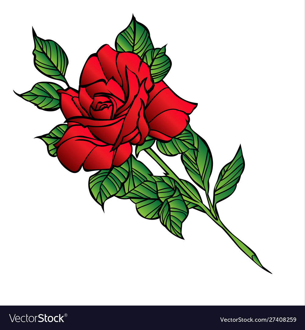 Rose Flower Cartoon Images Go Images Club