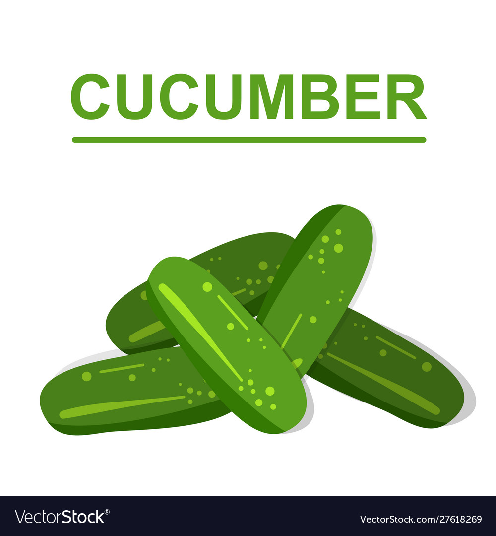Isolated Cucumber