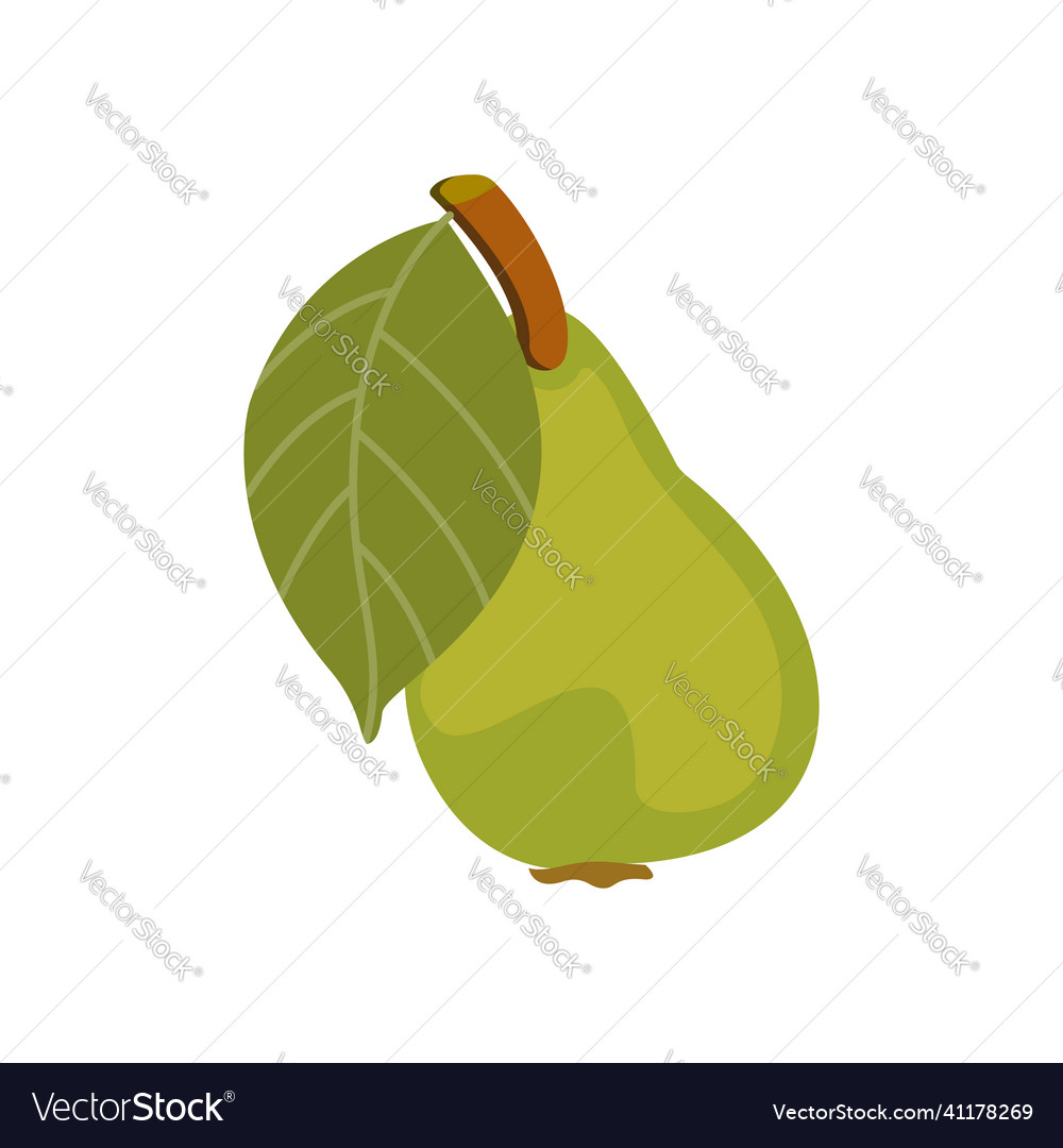 Pear a single that is green in the format Vector Image Pear a single that is green in the format