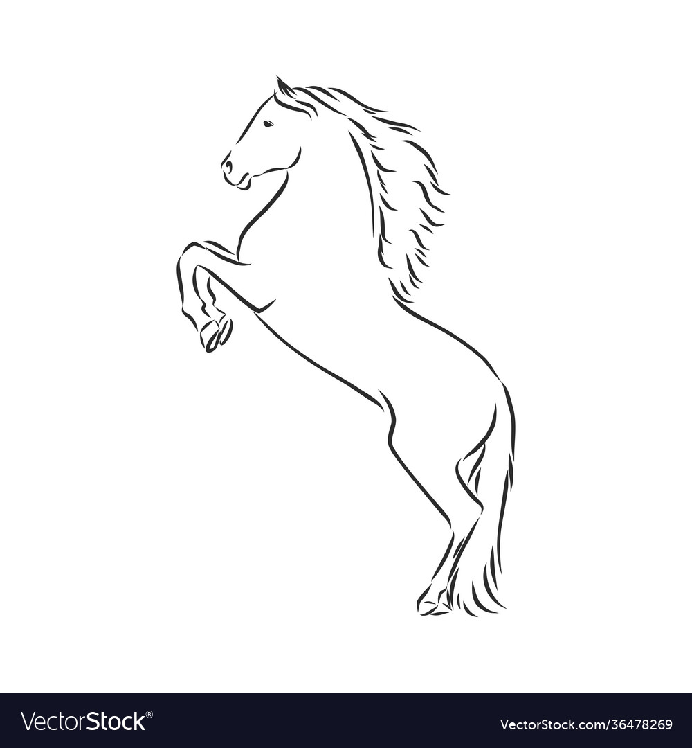 Silhouette a horse beautiful sketch