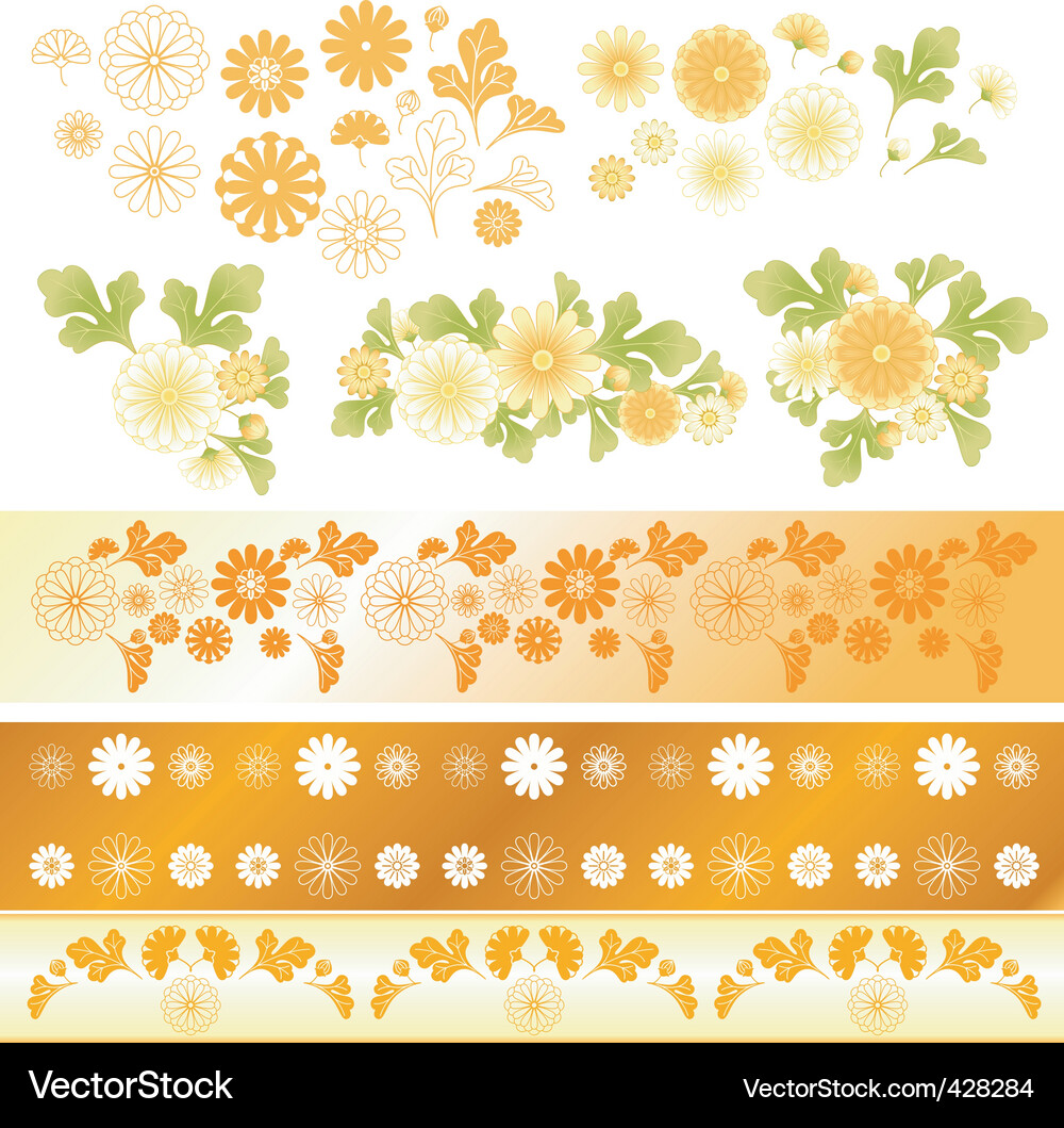 Chrysanthemum flower elements Royalty Free Vector Image