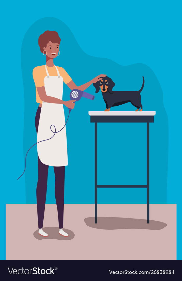 Süßes Dashhund Hund Tiercharakter vector image Süßes Dashhund Hund Tiercharakter