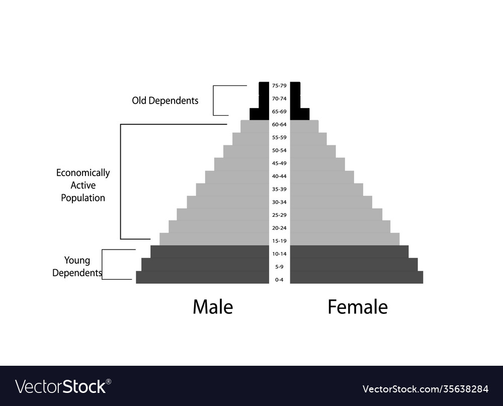 Detail population pyramids graphs depend on age