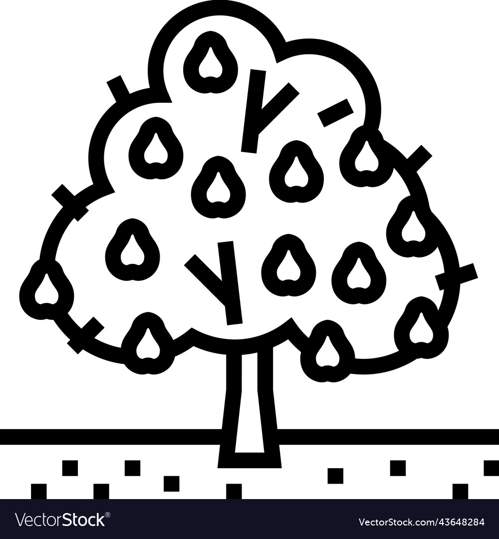 Tree pear line icon