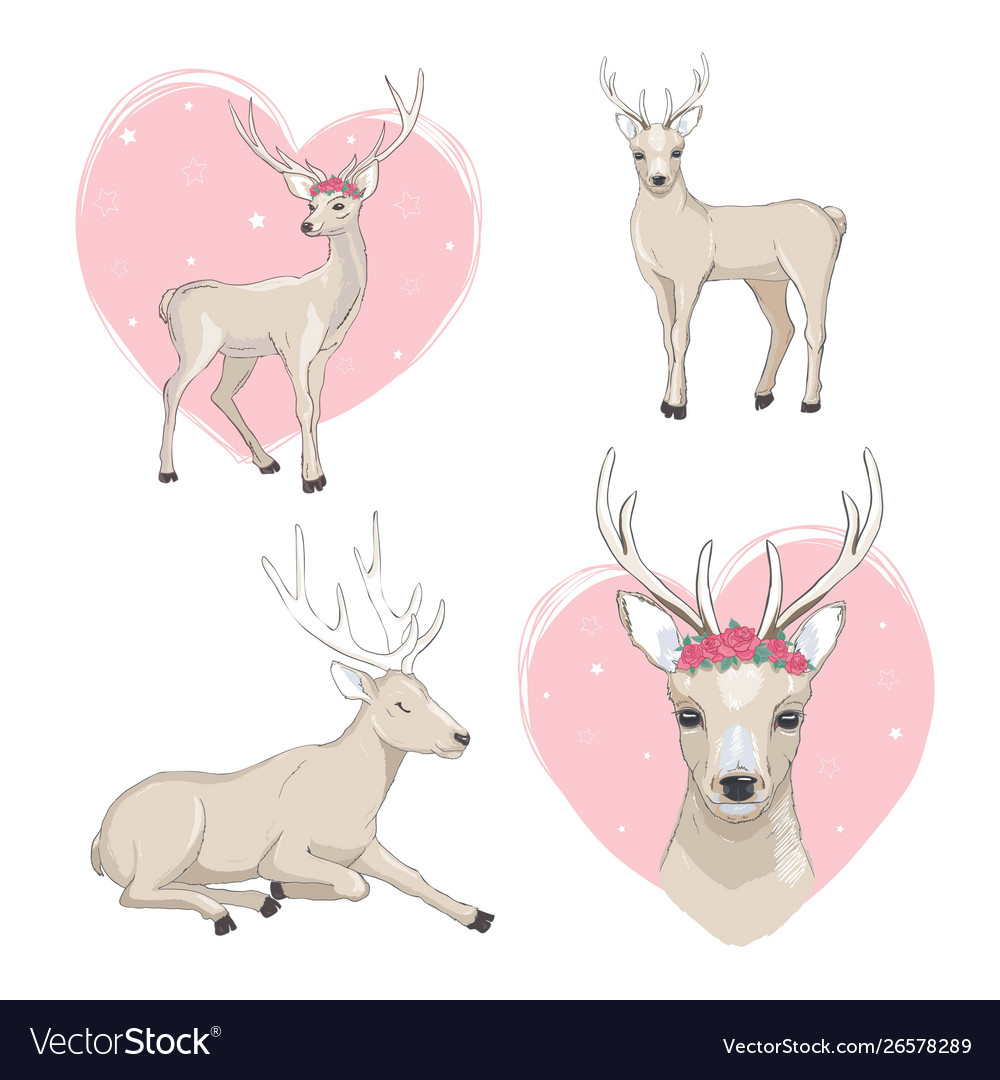 Cute deer cartoon set wildlife character