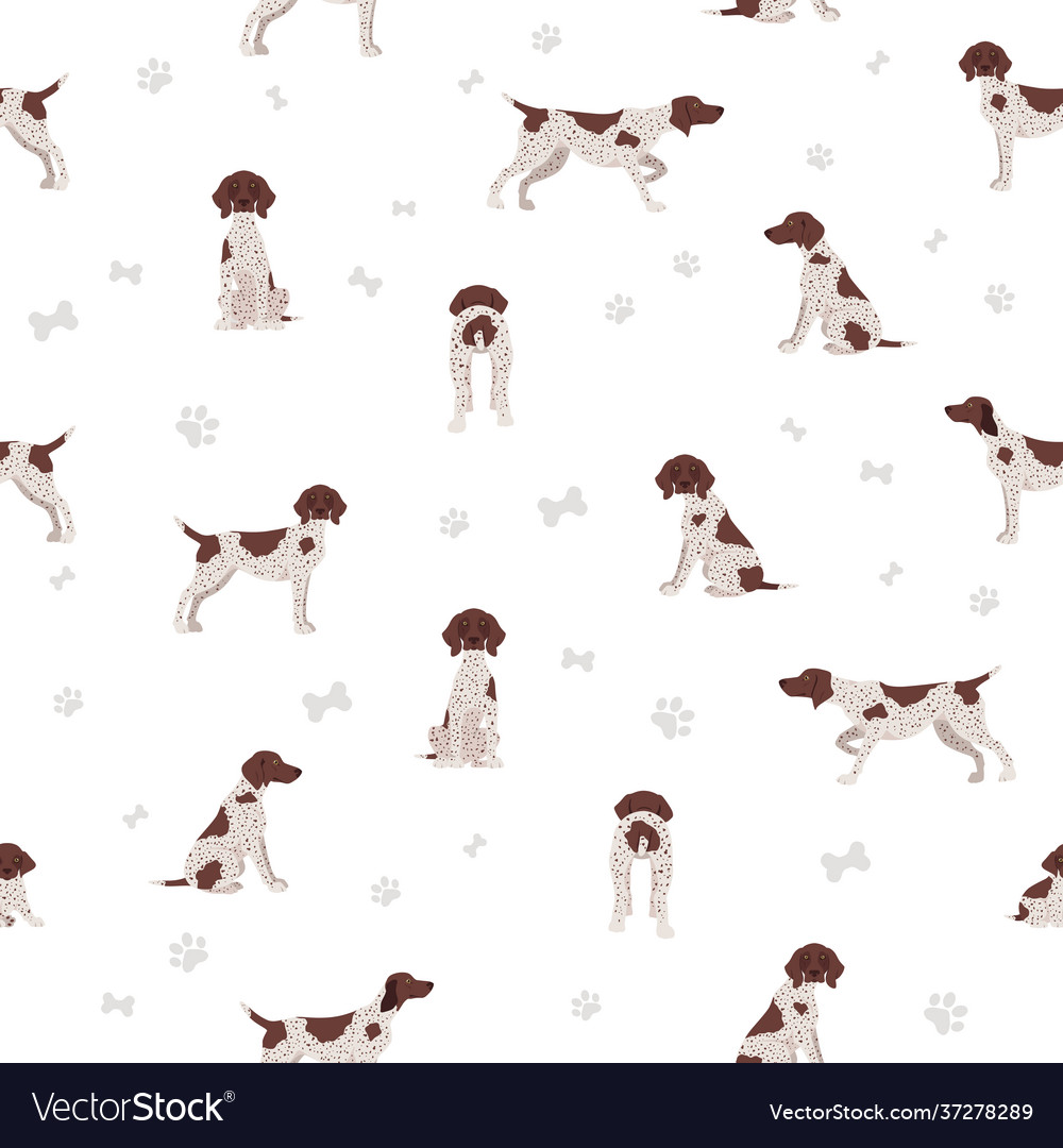 German shorthaired pointer seamless pattern