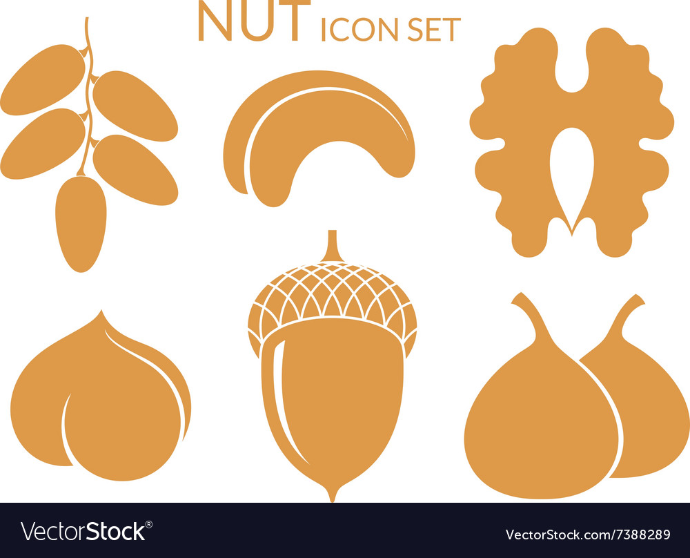 Nuts Icon set Isolated fruit on white Royalty Free Vector