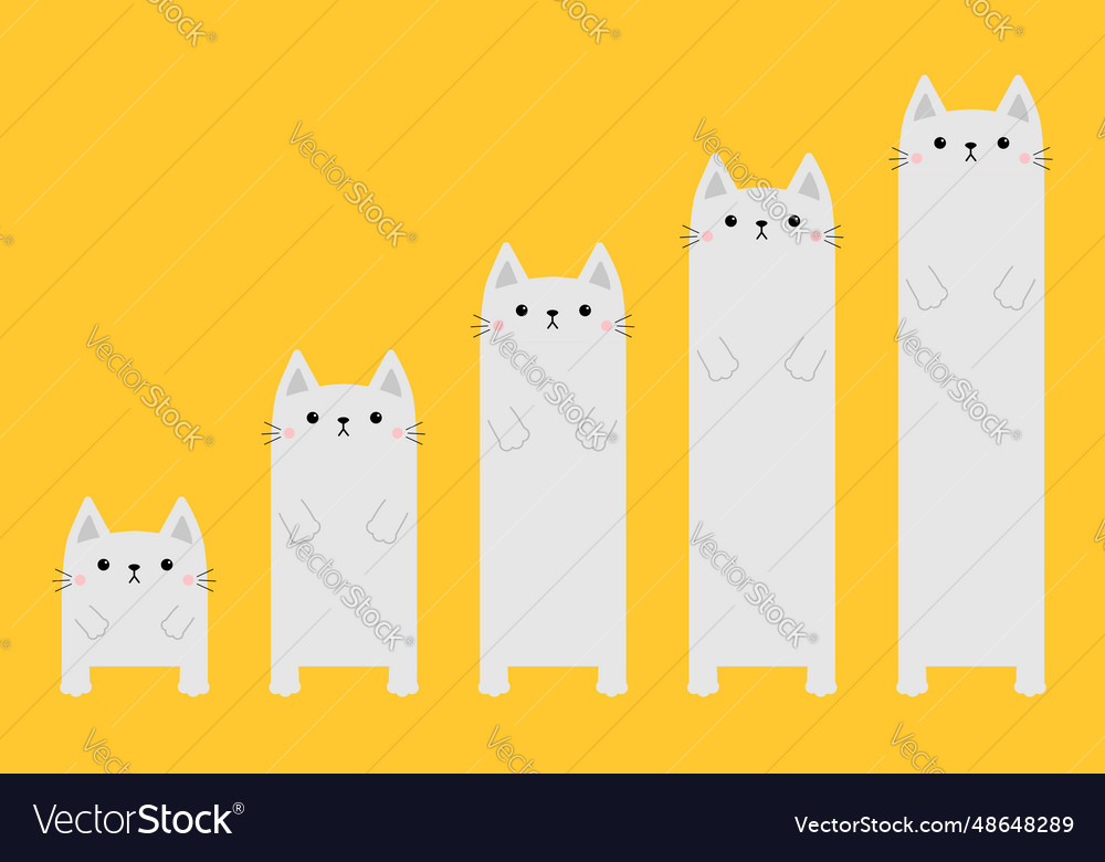 White cat column diagram funny 5 steps Royalty Free Vector