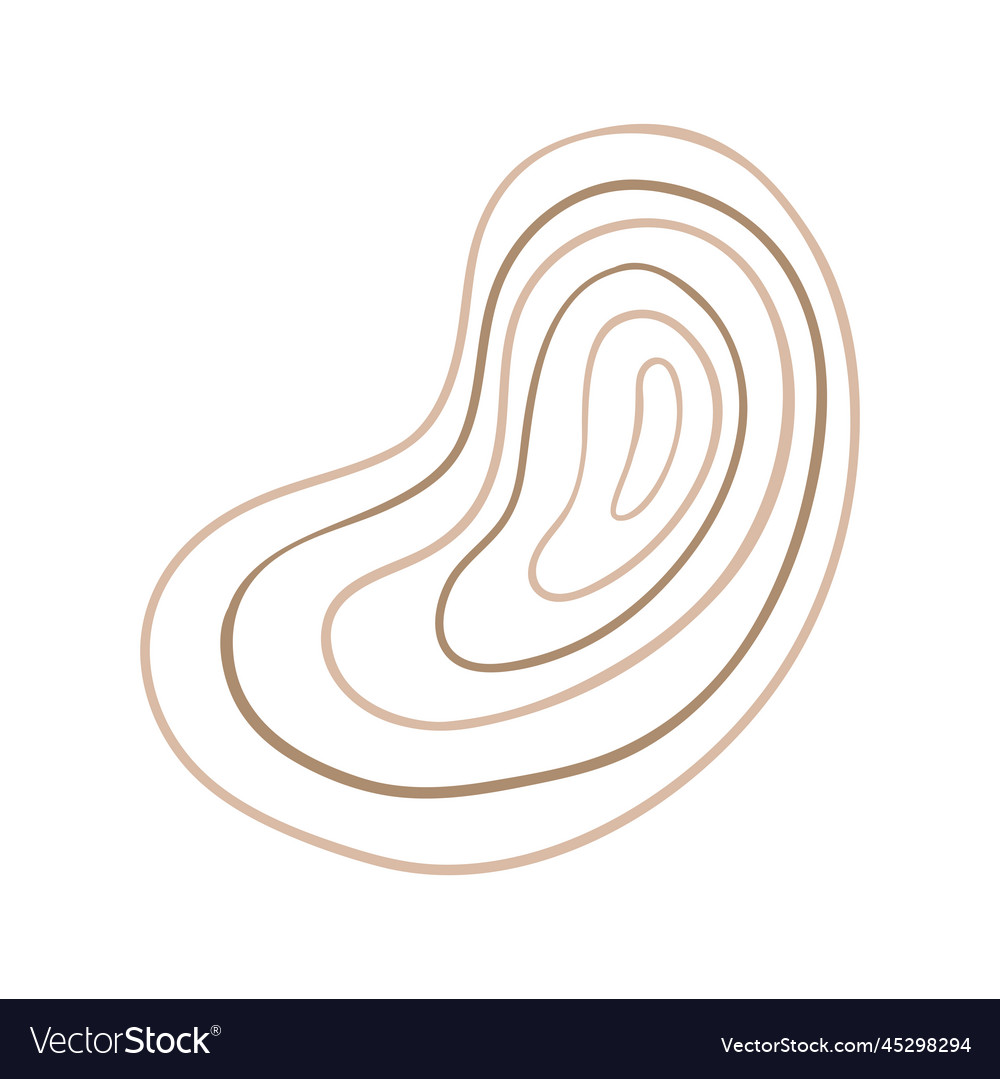 Abstract boho line blob shapes simple hand drawn vector image Abstract boho line blob shapes simple hand drawn