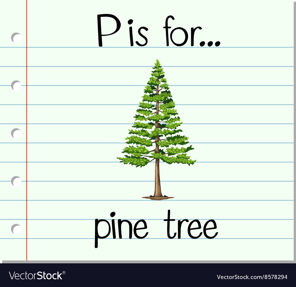 Flashcard letter p is for pine tree