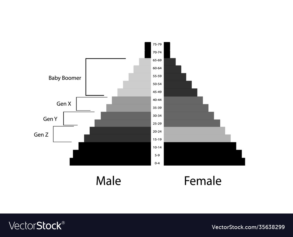 Population pyramids graphs with 4 generation