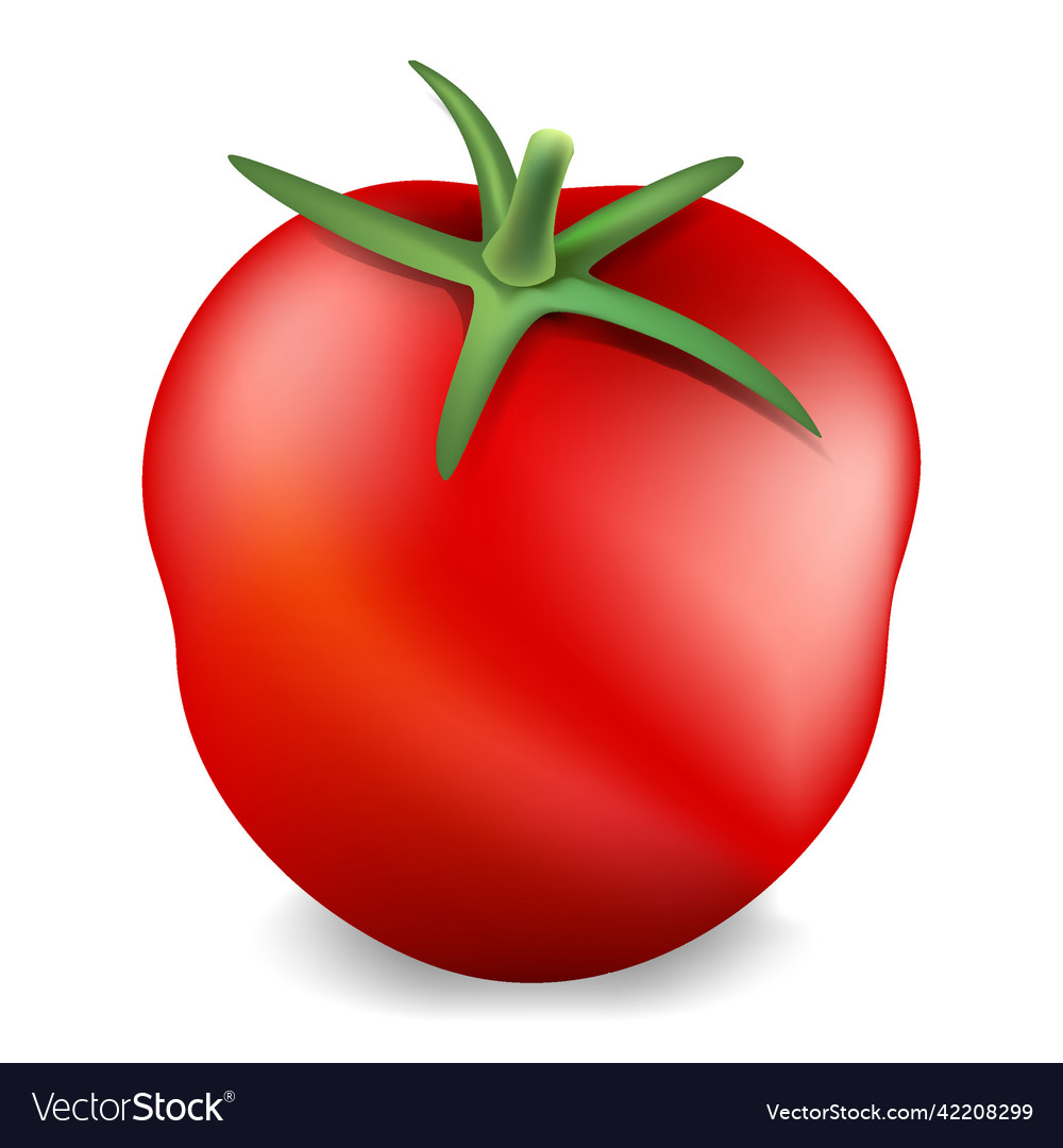 Red tomato realistic object mesh