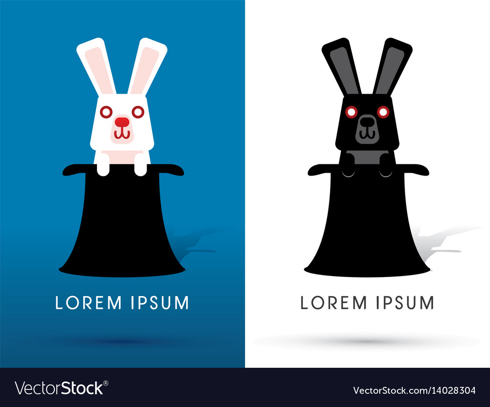 Smiling Rabbit from Top Hat