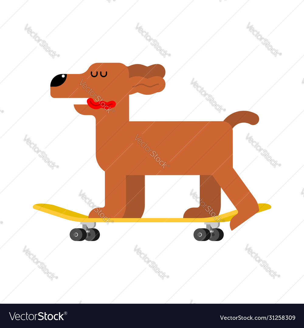 Dog on skateboard pet board hound skateboarder