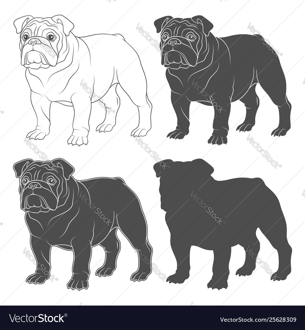 Set With English Bulldog Royalty Free Vector Image