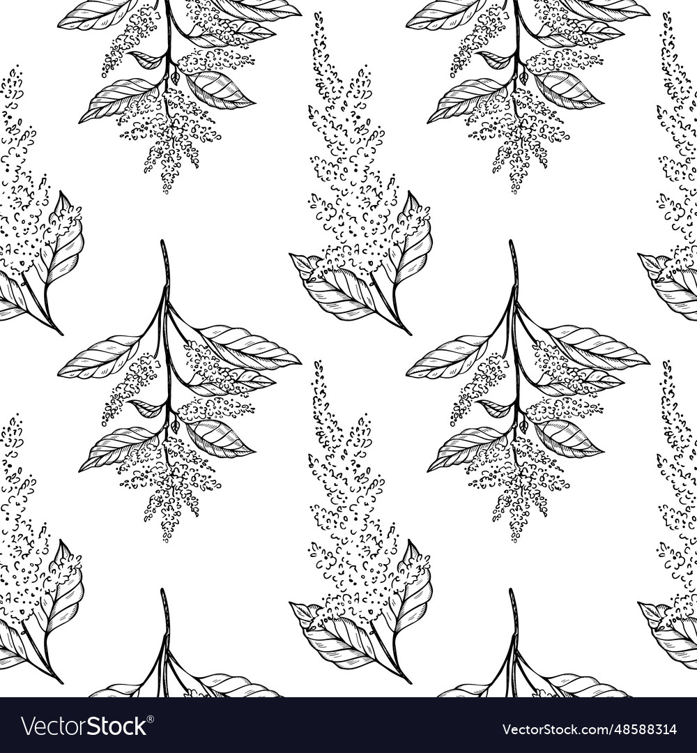 Amaranth plant seamless pattern vector image Amaranth plant seamless pattern