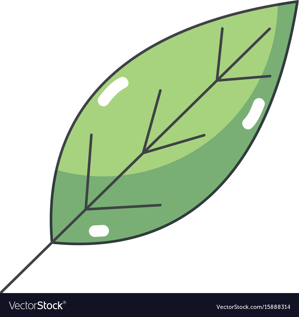 Natural leaf symbol to conservation