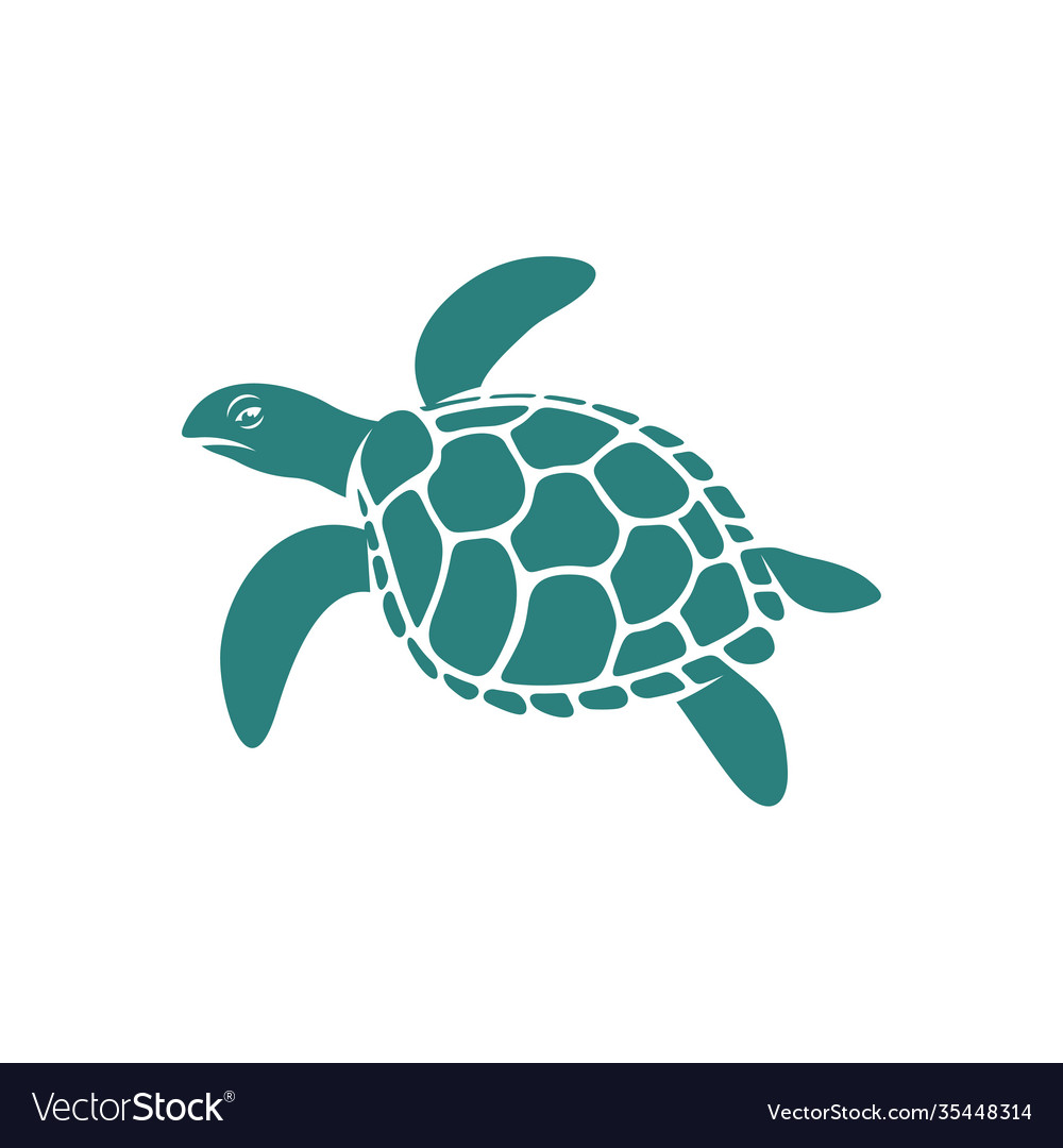 Turtle design creative logo