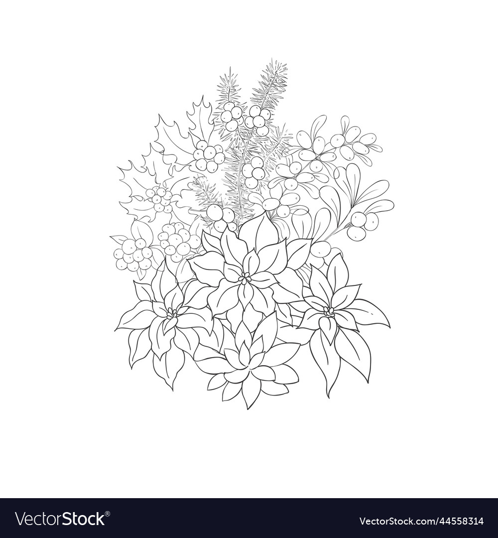 Winter Poinsettia Blumen