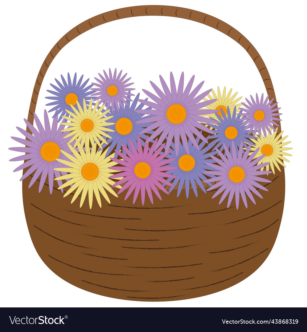Asters Flowers in the Basket