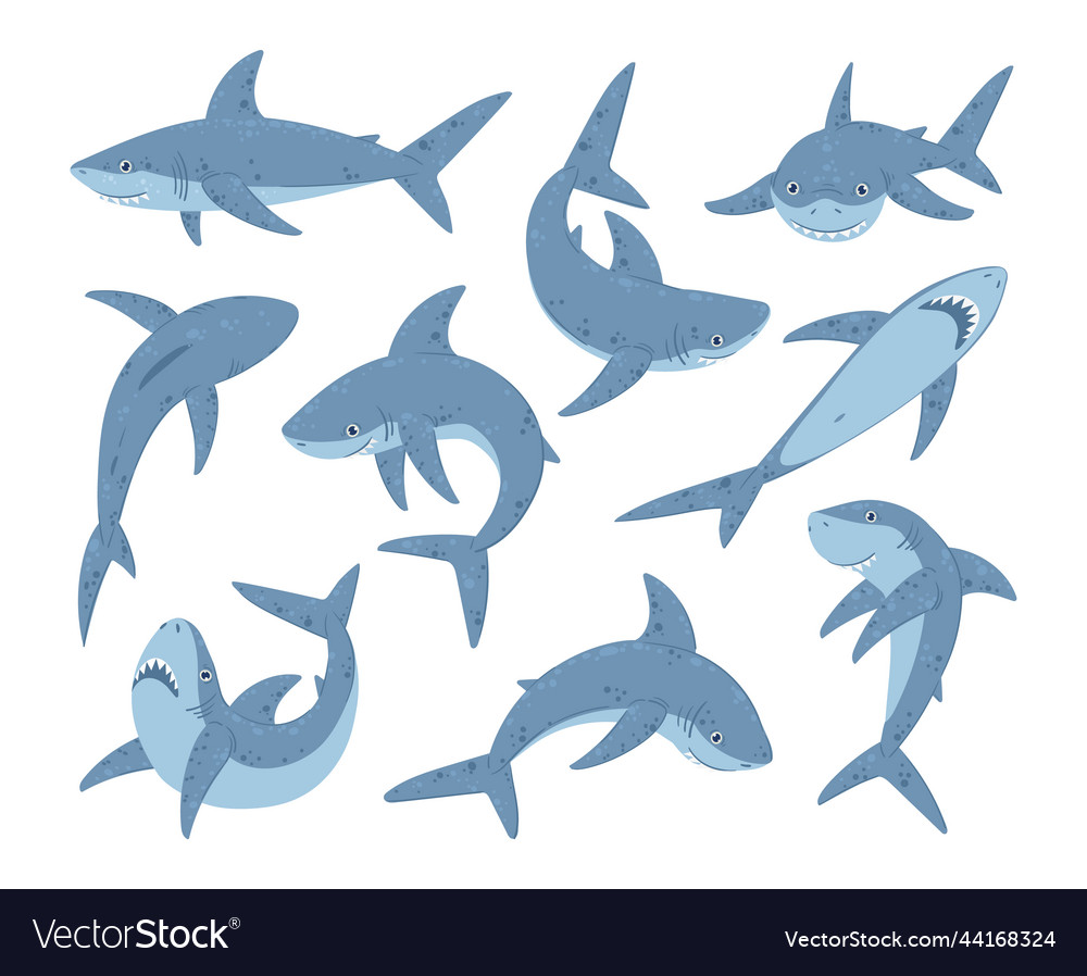 Cartoon ocean shark mascots marine predator vector image Cartoon ocean shark mascots marine predator