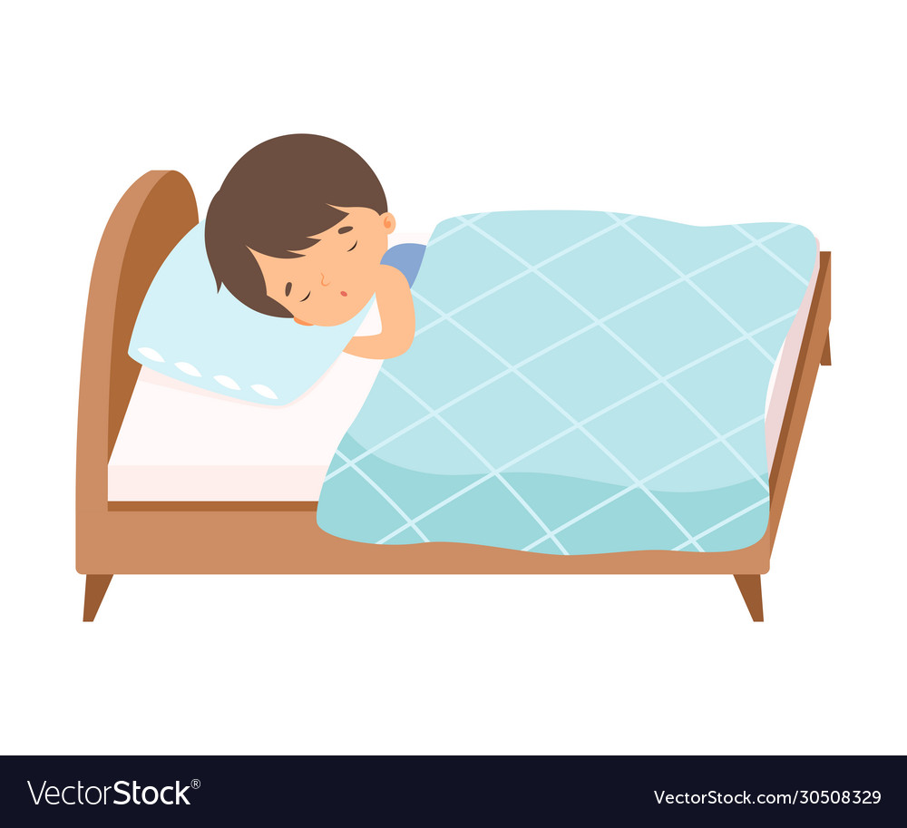 Adorable little boy sleeping sweetly in his bed Vector Image