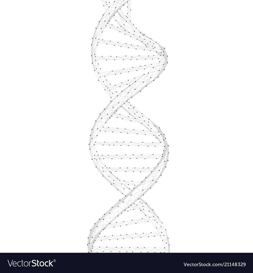 DNA Chain Structure
