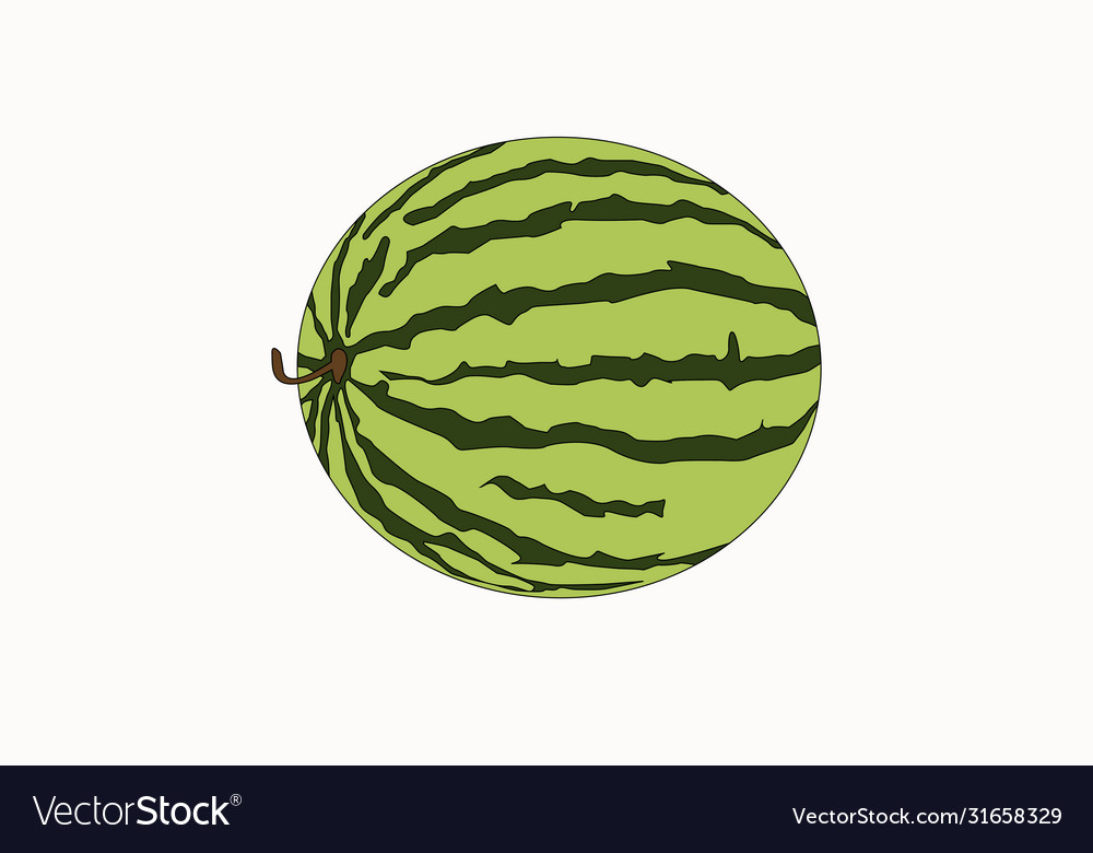 Ripe watermelon