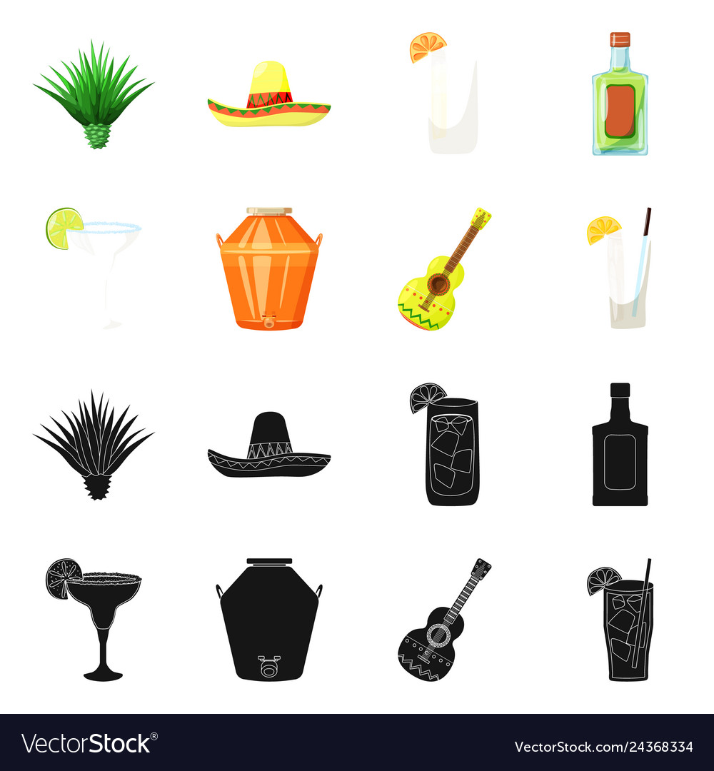 Isolated object of cafe and latin symbol set vector image Isolated object of cafe and latin symbol set