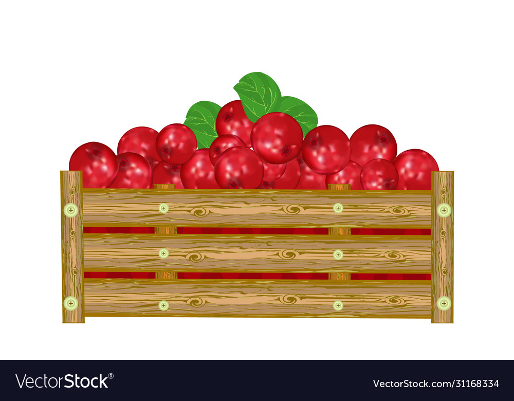 Lingonberry in box isolated on white background